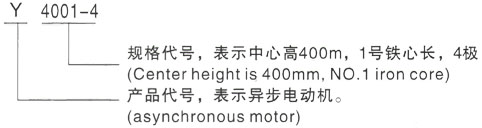 西安泰富西玛Y系列(H355-1000)高压Y50010-10/630KW三相异步电机型号说明