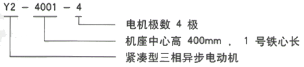 YR系列(H355-1000)高压Y50010-10/630KW三相异步电机西安西玛电机型号说明